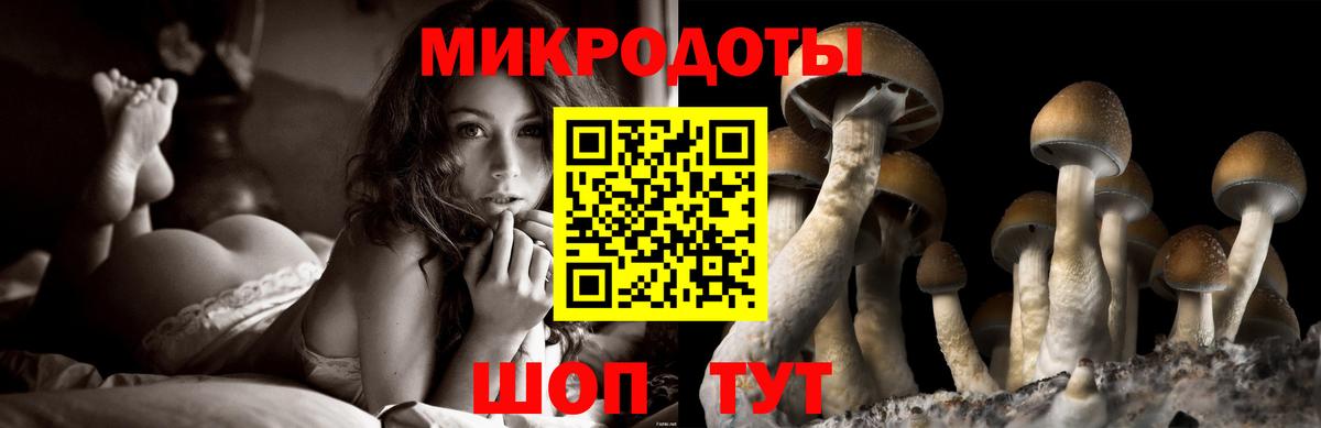 Псилоцибиновые грибы MAGIC MUSHROOMS  Вход с VPN  Галлюциногенные грибы Psilocybine cubensis  Сосновый Бор 